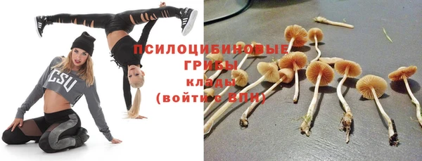 ECSTASY Абаза