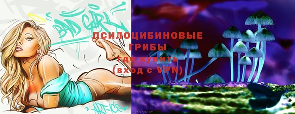 ECSTASY Абаза